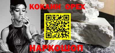 крисы Новодвинск