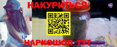 крисы Новодвинск