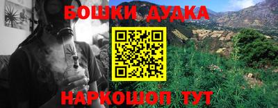 крисы Новодвинск