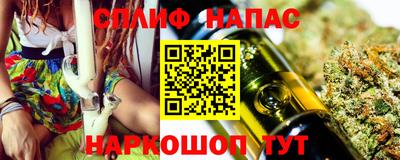 крисы Новодвинск