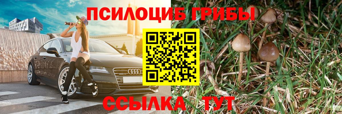 Галлюциногенные грибы Psilocybine cubensis  закладка  Тавда  Вход с VPN  Псилоцибиновые грибы MAGIC MUSHROOMS 