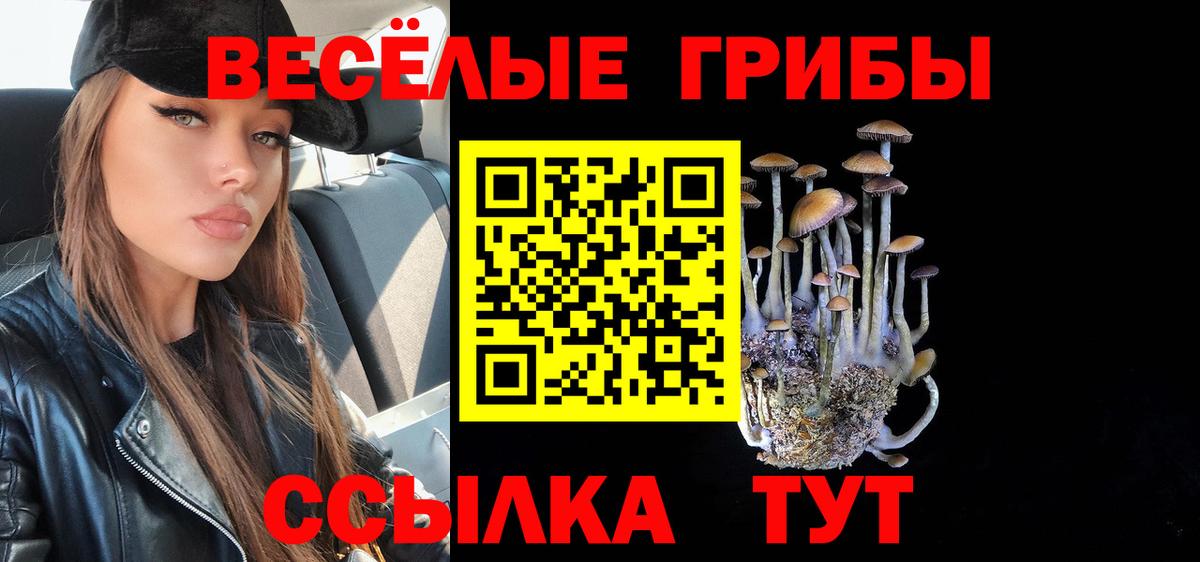 Галлюциногенные грибы прущие грибы Тавда